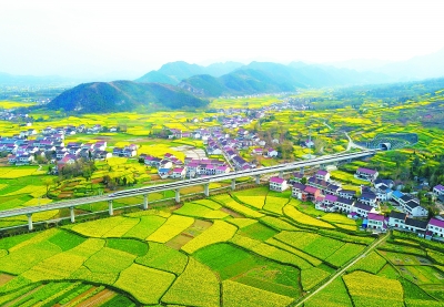 坚定走在正确道路上