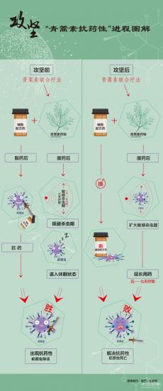 屠呦呦团队发布重大科研新突破