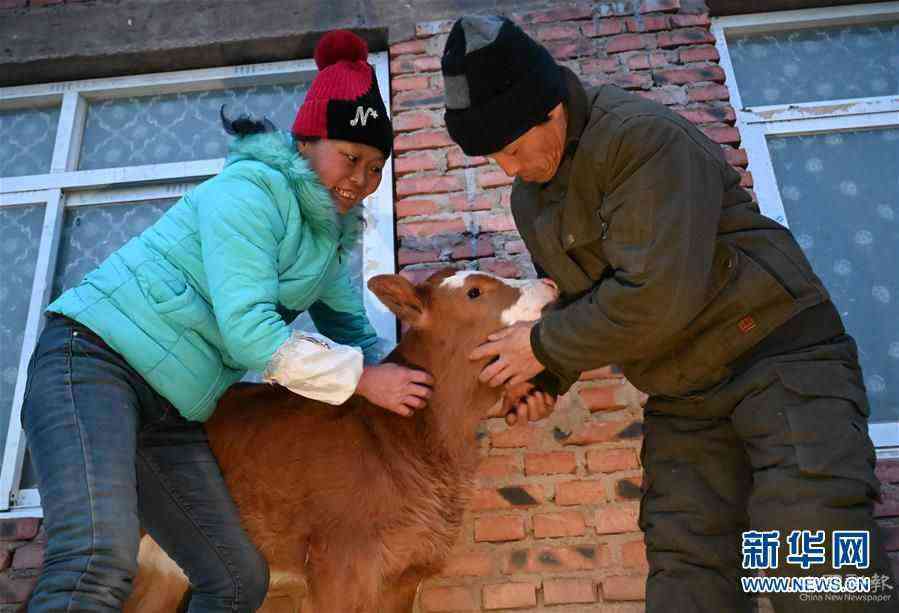 （新春走基层·图片故事）（14）“牛气”大鼓敲响幸福生活