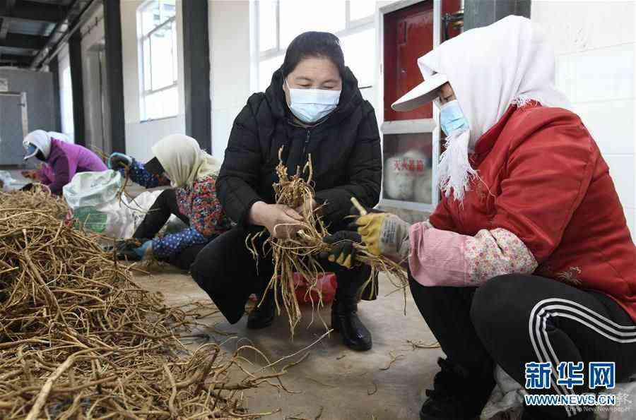 （新华全媒头条·图文互动）（2）特殊时期，他们这样履职——全国人大代表这个春天在行动