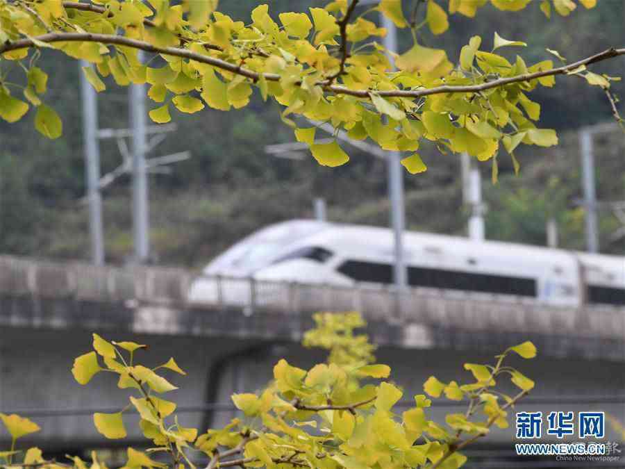 #（图文互动）（3）全国铁路10月11日起实施新的列车运行图