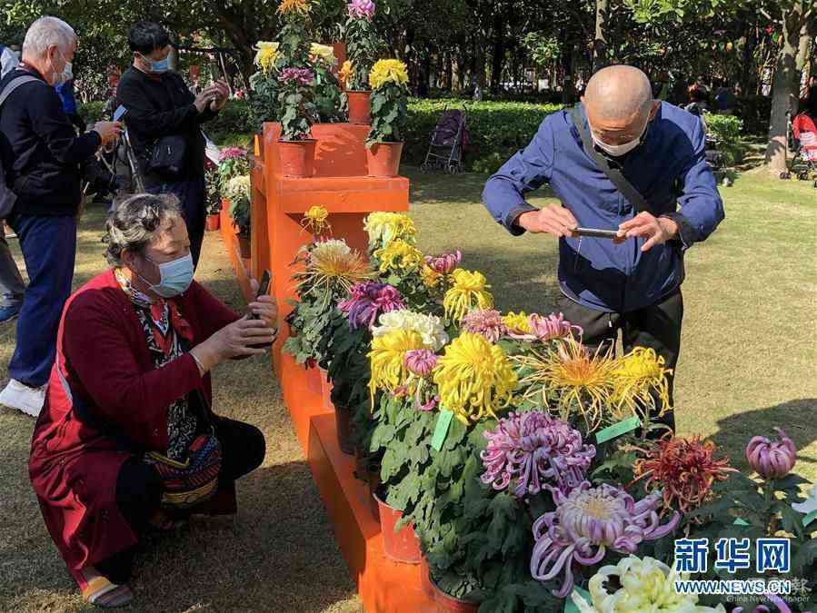 （社会）（5）品糕赏菊乐重阳