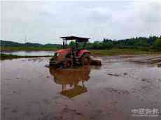 休宁县各地不误农时播种水稻