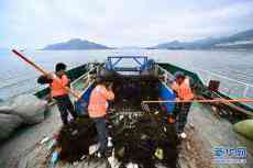 福建宁德：清理海漂垃圾 保护海洋环境