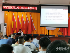 邵东市简家陇镇深入学习建党100周年大会上的重要讲话 