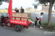 赞！湘乡市新湘路街道城西村开展环境卫生整治行动