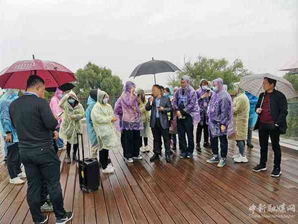 【母亲河畔的中国】打卡郑州黄河滩地公园 感受黄河的壮美奇观