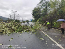 点赞！衡阳县公安交警雨中挪树，守护平安