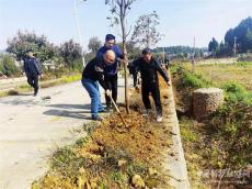 湖南新田：“义务植树”助力美丽乡村建设