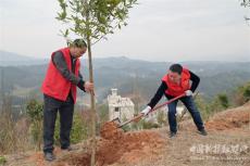 湖南隆回金石桥镇：共植“巾帼林” 营造“生态美”