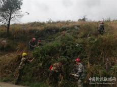 湖南城步县土桥农场管理区多措并举筑牢森林防火屏障