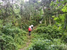 衡阳县界牌镇：走村入户去接种，一个也不能少