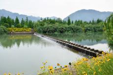 浙江省江山市：小流域“治”出大风景