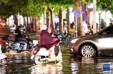 郑州发布雷暴大风黄色预警信号、暴雨黄色预警信号