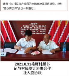 不为高收入 只为改变家乡面貌