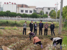 硬化道路畅交通 建设美丽新农村