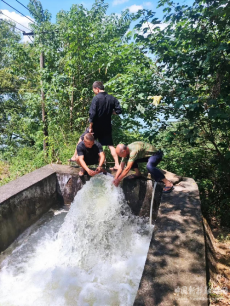 衡阳市珠晖区：启动提灌抽水 力保水稻收成