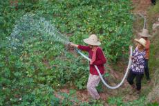 用好每一滴水！”——直击湖南特旱地区抗旱救灾一线