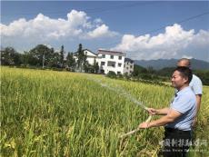 湖南洞口县花古街道：干群全力抗旱保增收