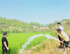 湖南新田：干部下沉田间地头 抗旱救灾力保民生