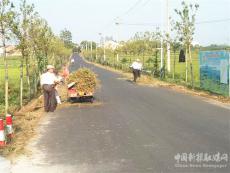 安徽庐江县郭河镇：清理路边杂草 扮靓乡村环境