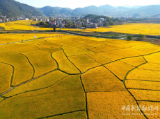 新宁县安山乡车头村：抒展美丽乡村新画卷