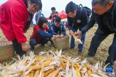 杭州瓶窑举办农民丰收运动会