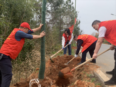 不负好春光｜珠晖区：大力植树添绿 建设生态廊道