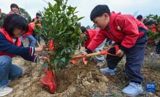 “植树护绿”开启春季校园劳动课