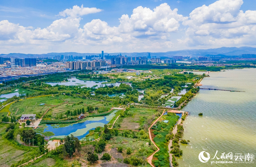 图为斗南湿地公园。人民网记者 虎遵会摄