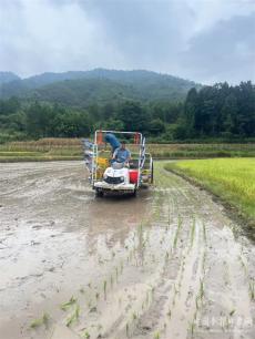 湖南宁远县种粮大户石腾飞：农民种田也能发家致富