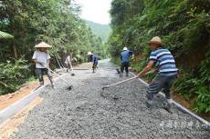 隆回县金石桥镇大田村：硬化“致富路”村民笑开颜