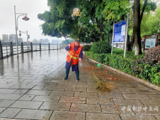 文明创建｜珠晖区：雨后落叶飘满街 环卫工人清理忙