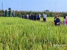 永州市水稻病虫害防控植保贡献率评价现场会在宁远县召开