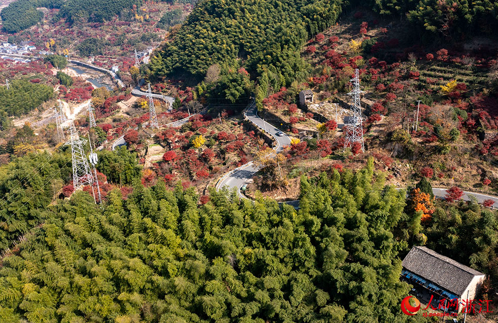 空中俯瞰浙江省余姚市四明山区，公路、民房与沿途漫山红遍、层林尽染的山色构成绚丽多彩的深秋画卷。人民网 章勇涛摄