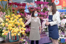 广州：花城看花