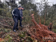 衡阳市雨母山镇迎战低温雨雪天气 全力保障群众安全