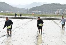 隆回羊古坳镇：创建再生稻试验示范引领高效优质粮食生产