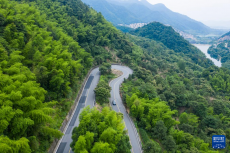 浙江诸暨：“四好农村路”助力乡村振兴