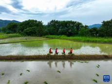 贵州、湖南部分受灾地区生产生活秩序逐步恢复