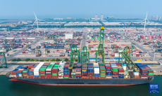 天津港2024年上半年集装箱吞吐量同比增长4.6%