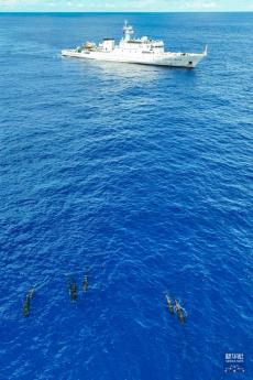 考察团队在海南岛东部海域目击到大量鲸豚类动物