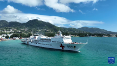 中国海军“和平方舟”号医院船前往坦桑尼亚