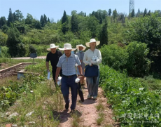 衡阳县畜禽养殖安全隐患排查专项整治百日攻坚雷厉风行