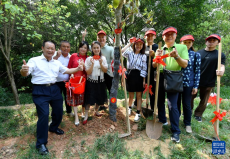 厦门：爱越海峡 情牵两岸