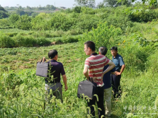 祁东县洪桥街道：“产业+”，因地制宜助推乡村振兴