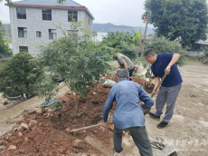 福建永安：庭院“方寸地”变为富民“聚宝盆”