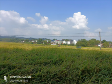 湖南黄公村：粮食生产先进村成功路上“藏”密码