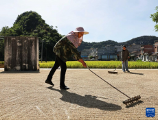 霜降节庆丰收