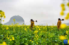 雨水时节春耕备耕忙